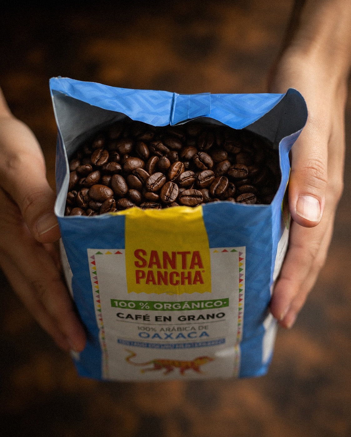 ¿Café en grano o molido? Cómo mantenerlo fresco por más tiempo