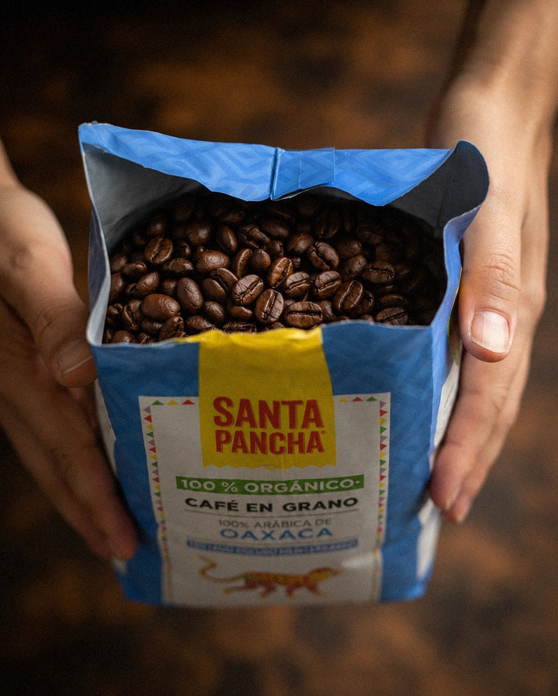 ¿Café en grano o molido? Cómo mantenerlo fresco por más tiempo