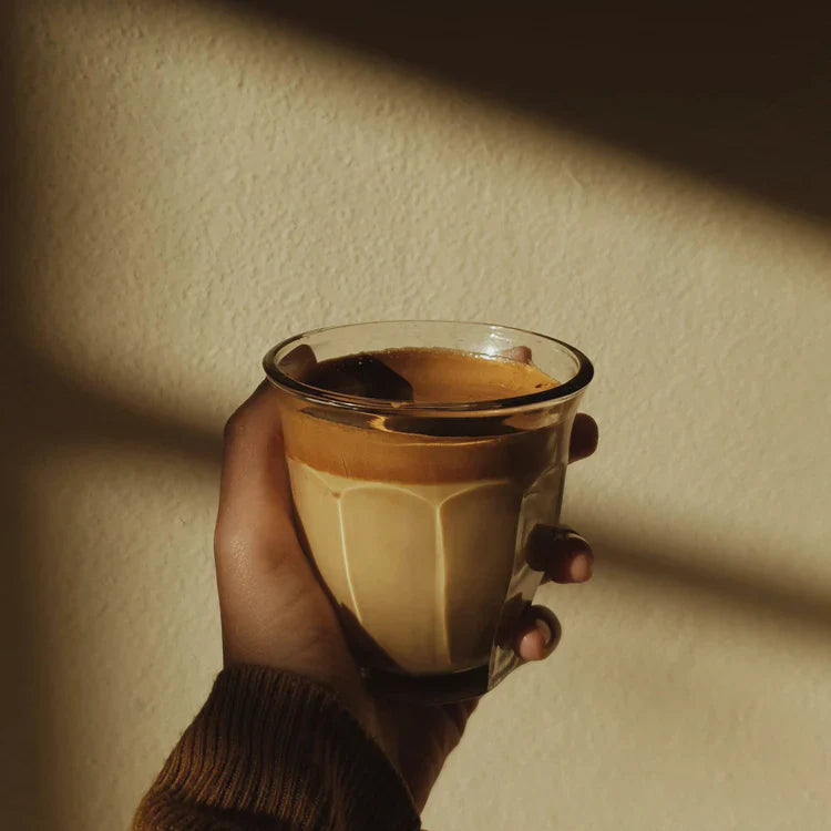 ¿Por qué el café de Oaxaca es uno de los más valorados del mundo?